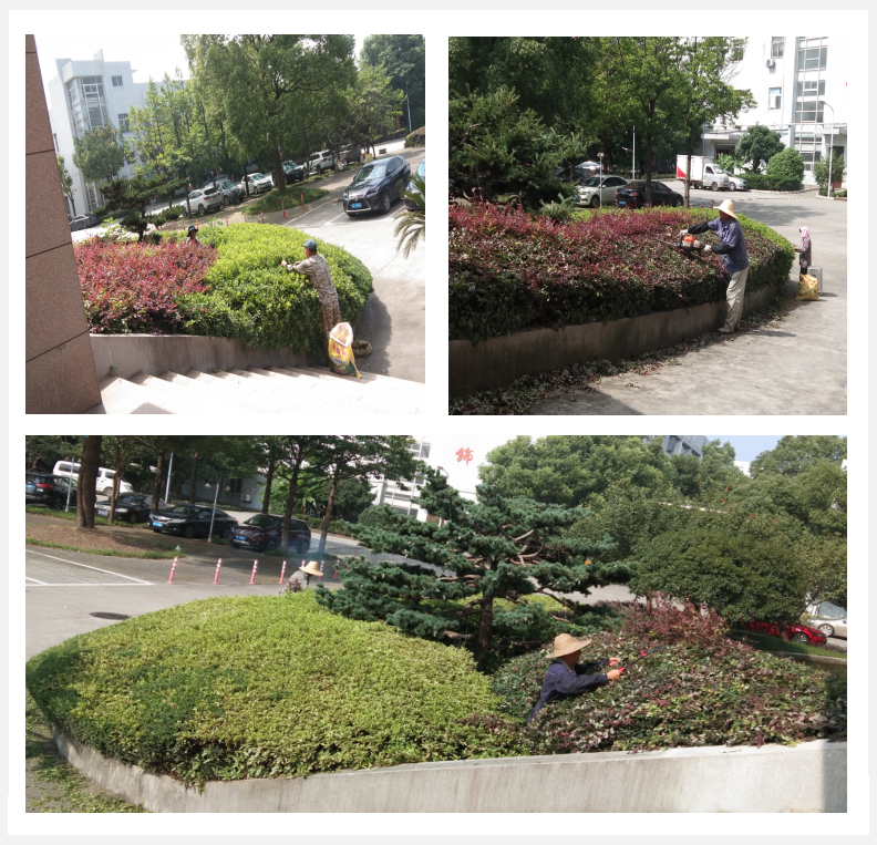 美化綠化，我們在行動      